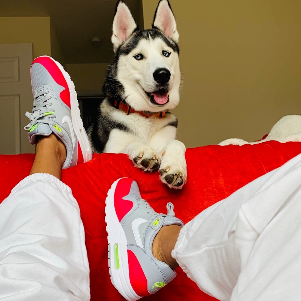 Meet your Posher, Izzy